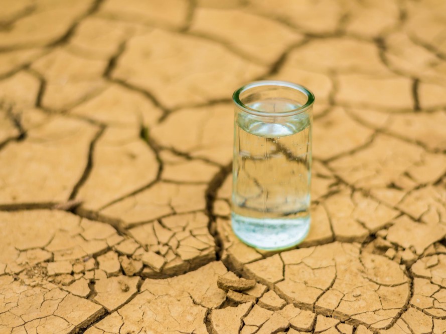 Signs of Dehydration - What to Look Out For and How to Prevent It