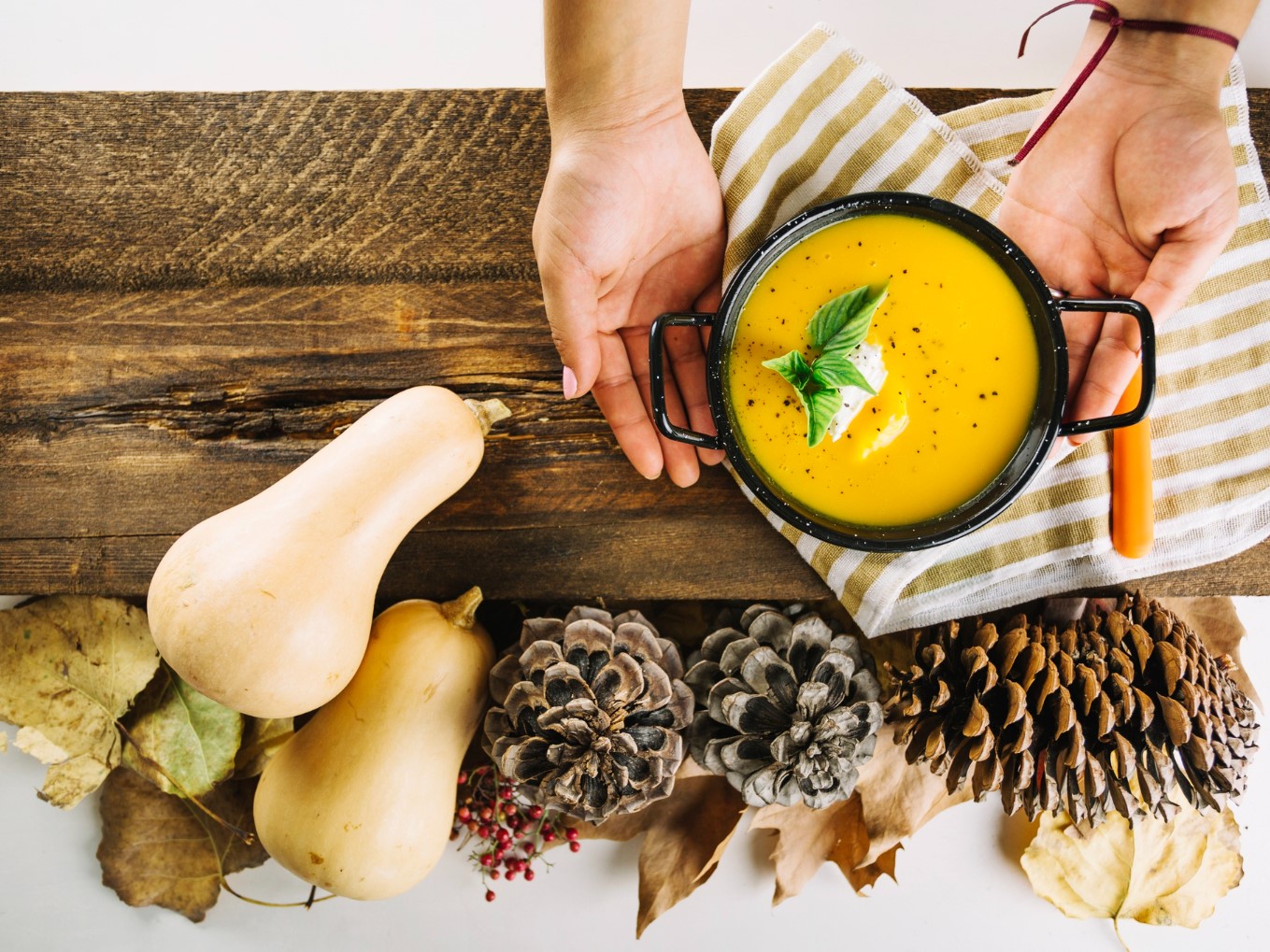 Time for Soups! A Review of Pots and Blenders Perfect for Creamy Creations