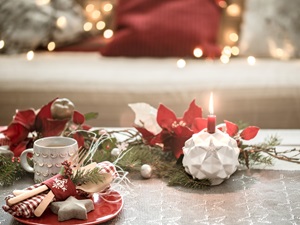 W Czym Podać Śledzie, Pierogi, Barszcz – Naczynia i Dodatki Wigilijne