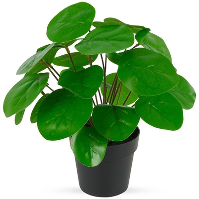 Sztuczna roślina w doniczce pilea pieniążek 24 cm