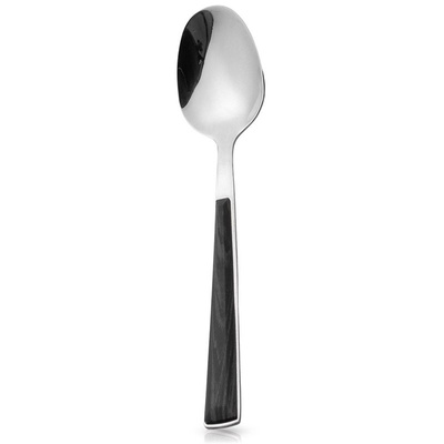 Teaspoon Steel ARYA