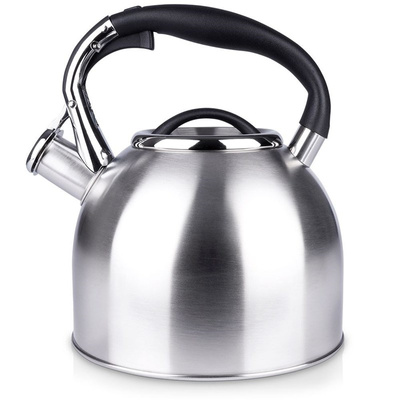 Whistling Kettle Steel Silver 2 l