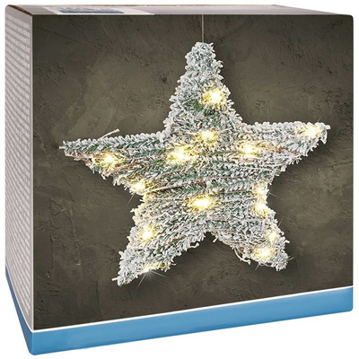 Lighted Star 20 LED 30 cm